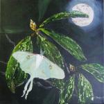 Laurel in the Moonlight with Luna Moth
12" x 12"