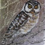 Saw Whet Owl      7h" x 5w"