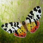 Tiger Moth  5"x5"